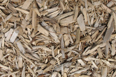 biomass boilers Fladdabister